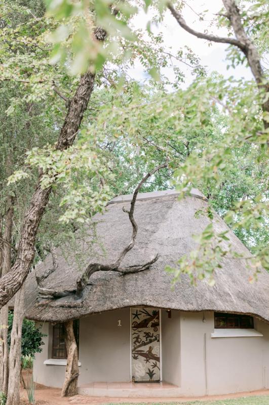 Limpokwena Nature Reserve Tokio Ngoại thất bức ảnh
