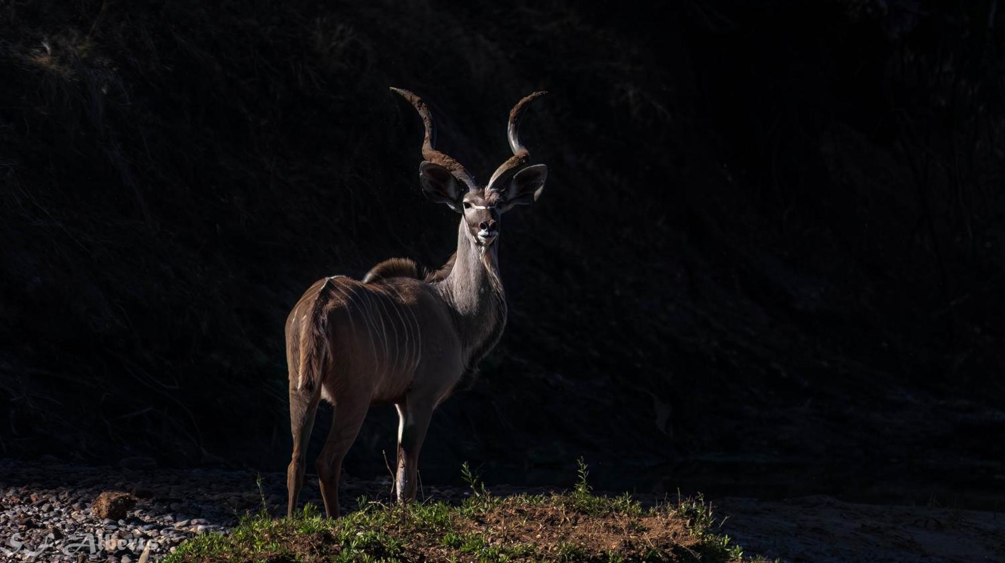 Limpokwena Nature Reserve Tokio Ngoại thất bức ảnh